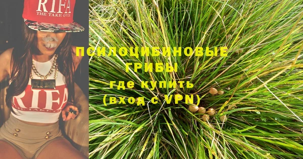 тгк Алексин