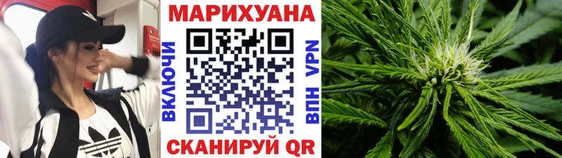 как найти   Невельск  Бошки марихуана сатива 
